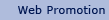 Web Promotion
